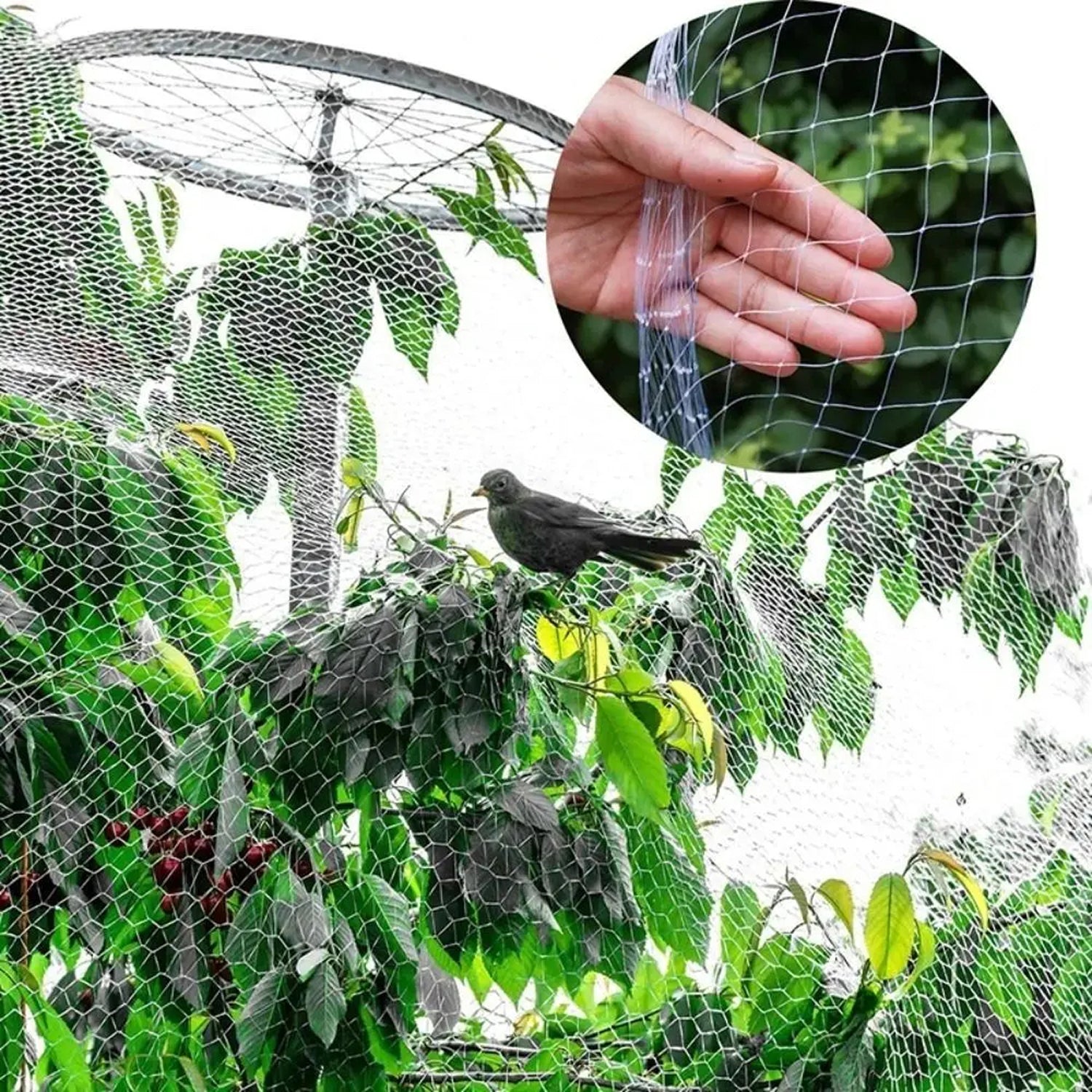 NetaVrax Bird Netting for Fruit Trees and Crops