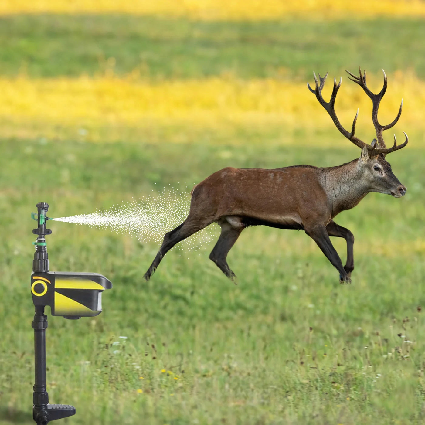 Sprynxie Solar Motion-Activated Animal Deterrent Sprinkler