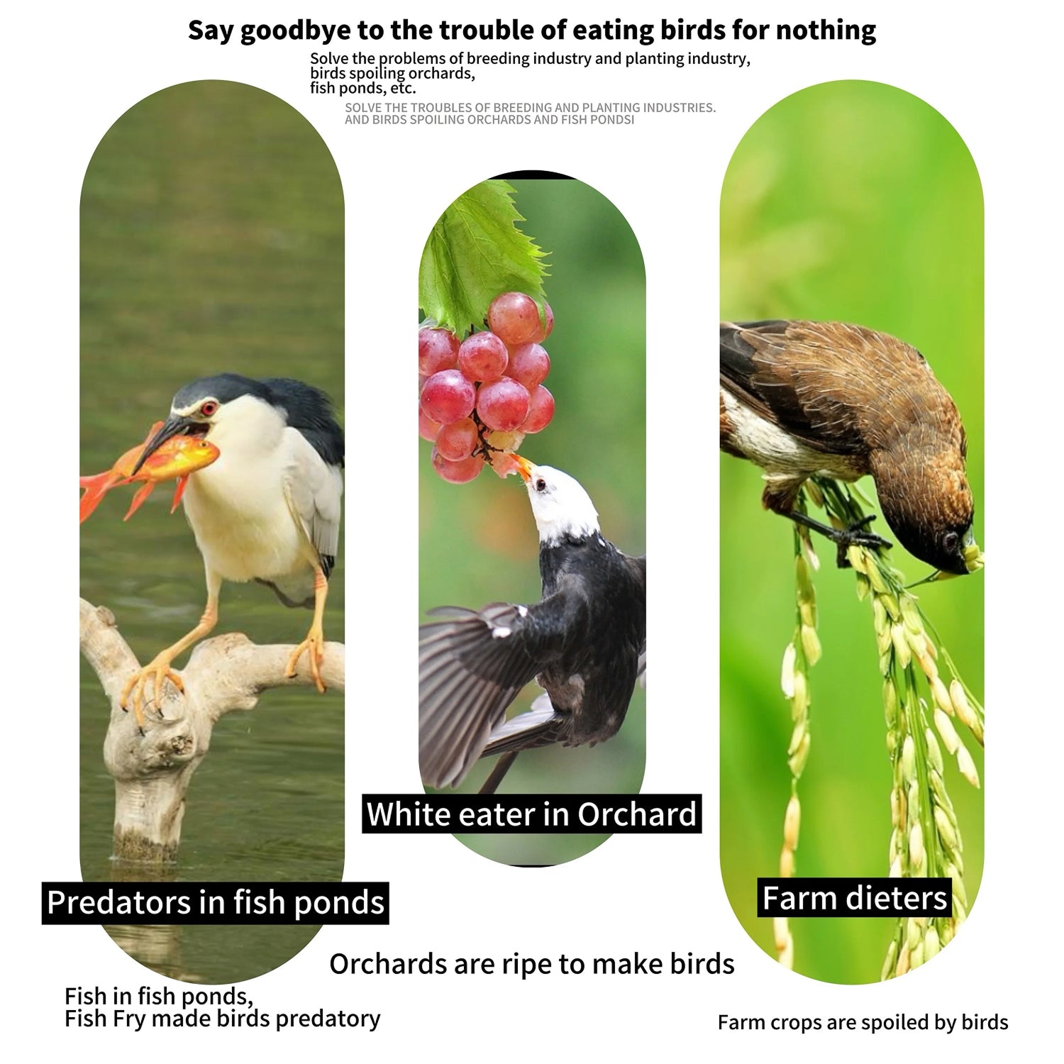 NetaVrax Bird Netting for Fruit Trees and Crops