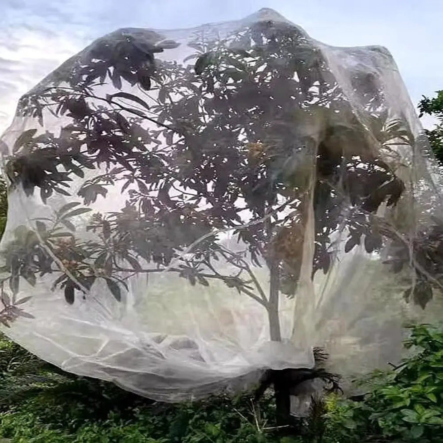 NetaVrax Bird Netting for Fruit Trees and Crops