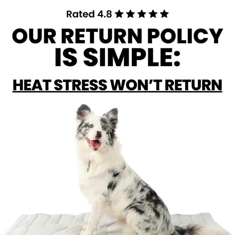 Kobolaf Dog Cooling Mat - Japanese Arc-Chill Instant Cooling Mat