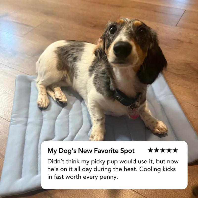 Kobolaf Dog Cooling Mat - Japanese Arc-Chill Instant Cooling Mat