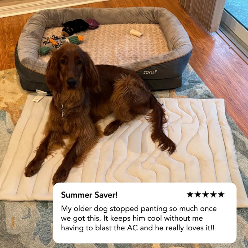 Kobolaf Dog Cooling Mat - Japanese Arc-Chill Instant Cooling Mat