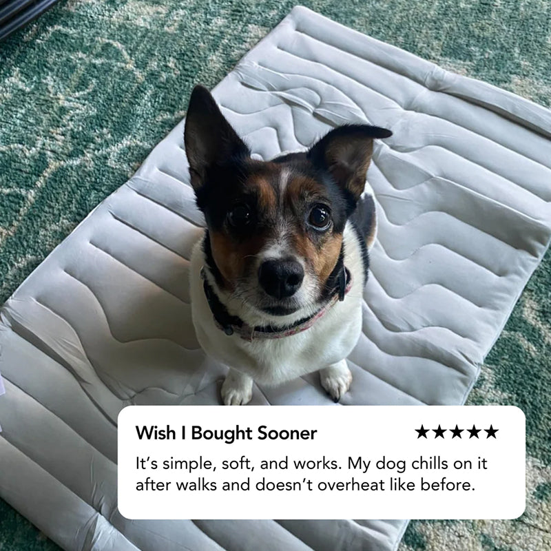 Kobolaf Dog Cooling Mat - Japanese Arc-Chill Instant Cooling Mat