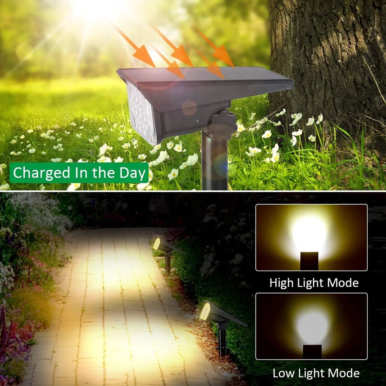 LumaxiVine IP65 Waterproof RGB Solar Garden Lights