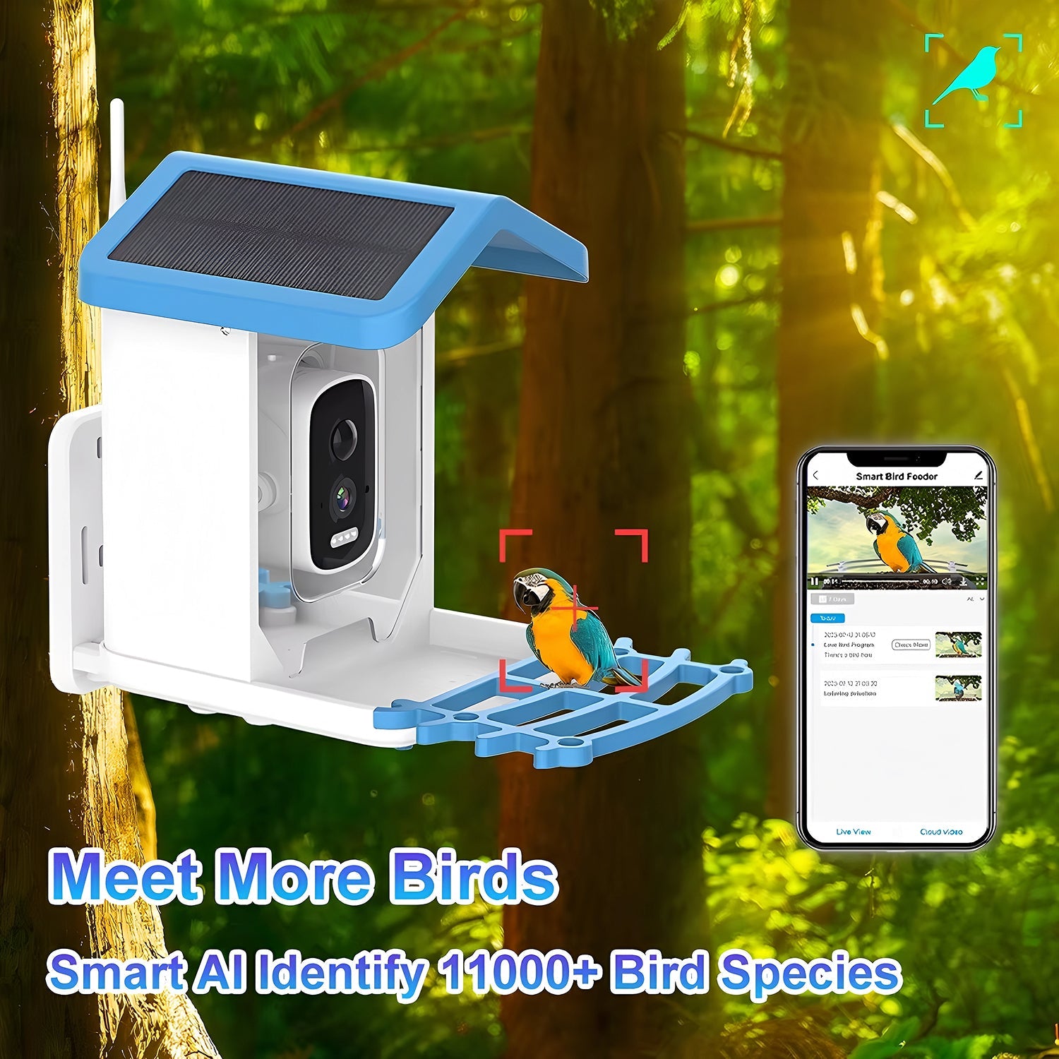 NestoLenzi AI Smart Bird Feeder with 2K HD Camera and Solar Power