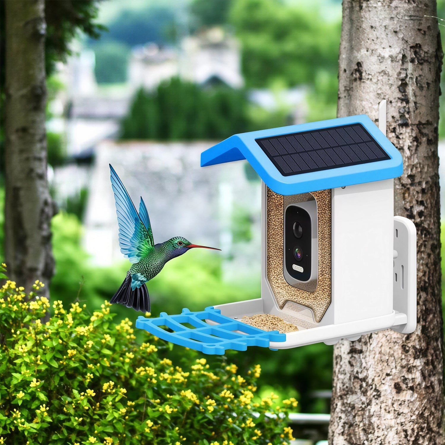 NestoLenzi AI Smart Bird Feeder with 2K HD Camera and Solar Power
