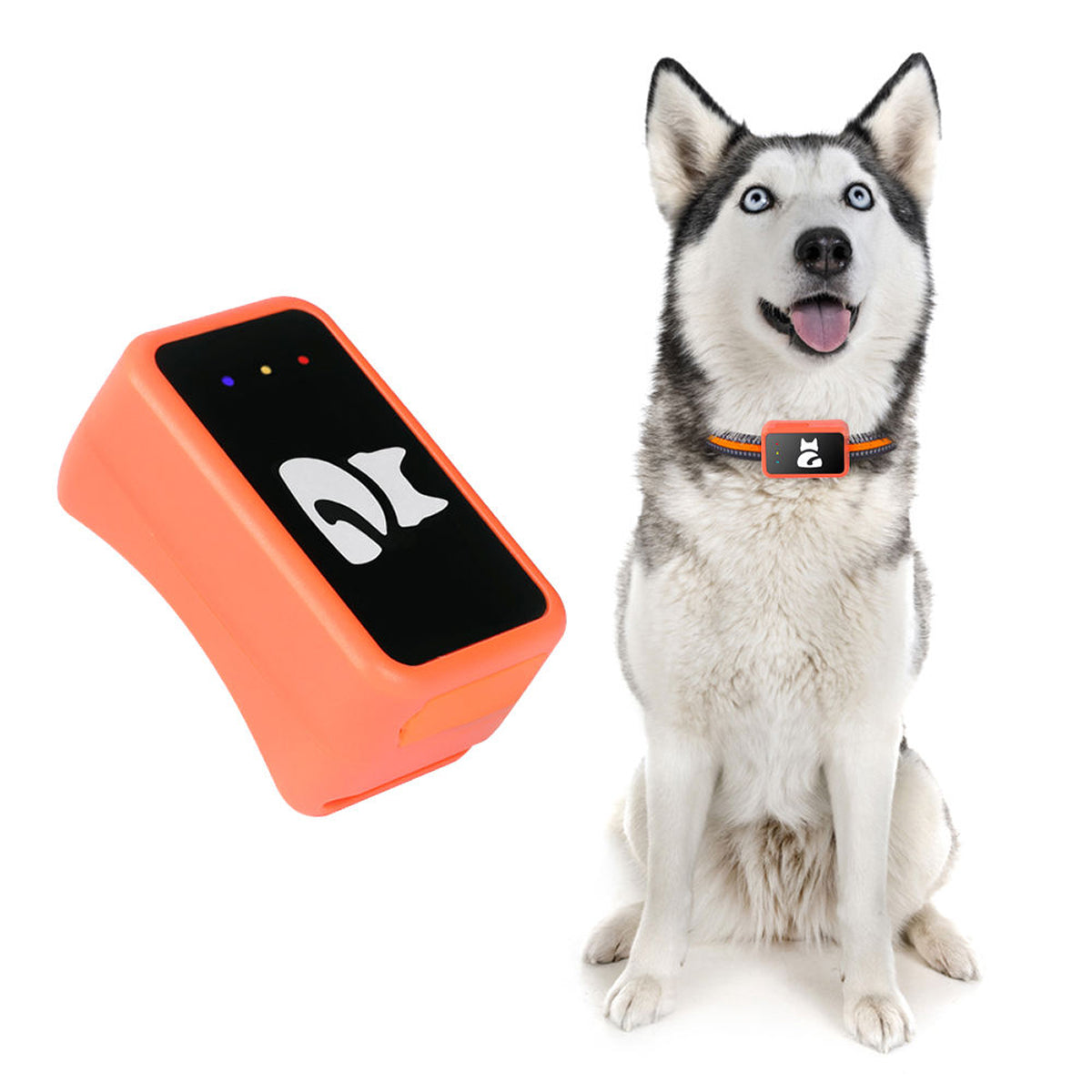 PawiSition Lightweight Real-Time Cat GPS Tracker with Geo-Fence