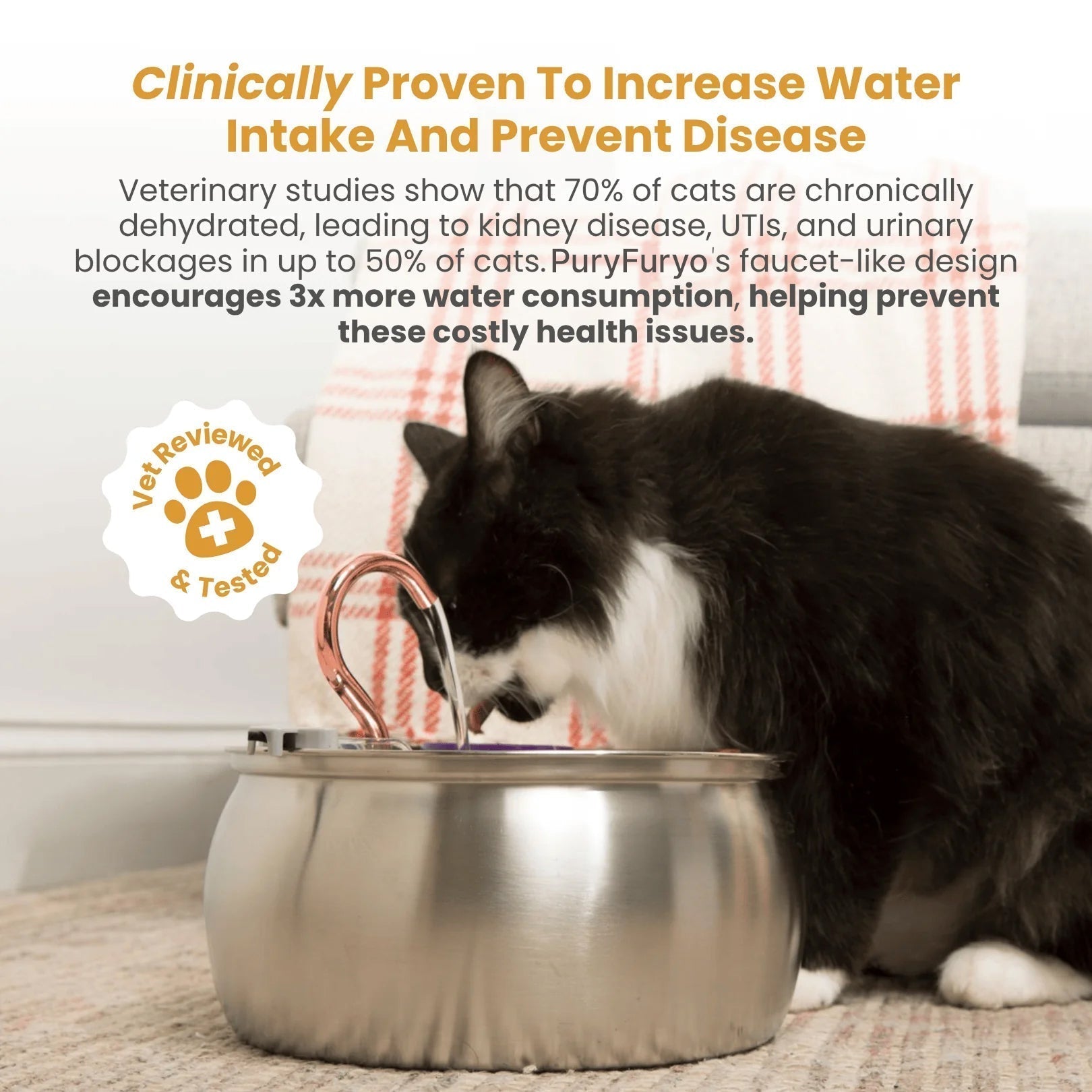 PuryFuryo Stainless Steel 4L Quiet Cat Water Fountain