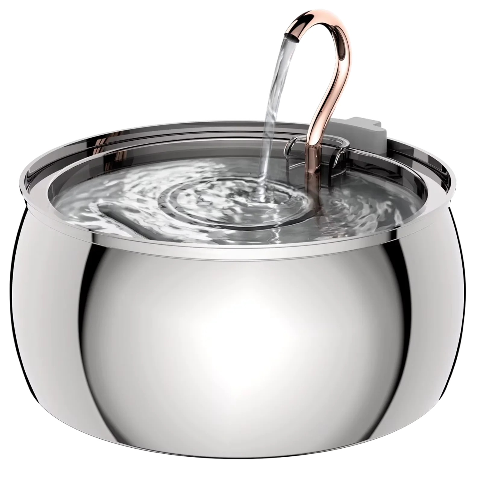 PuryFuryo Stainless Steel 4L Quiet Cat Water Fountain